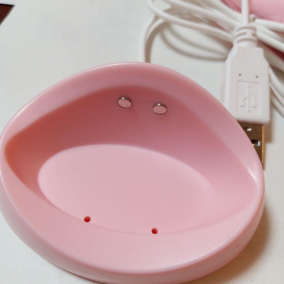 マイナスイオン発生電動美顔器ネイオンビューティー