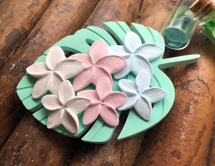 BIGモンステラ　アロマストーン  1つのお値段です