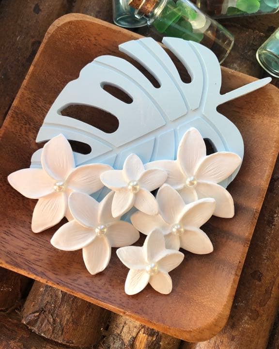 BIGモンステラ　アロマストーン  1つのお値段です