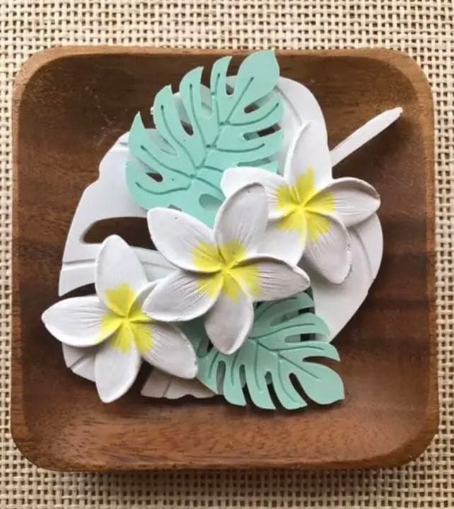 BIGモンステラ　アロマストーン  1つのお値段です