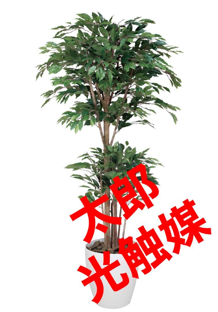 光触媒　人工観葉植物　フェイクグリーン　トロピカルベンジャミン 1.8m