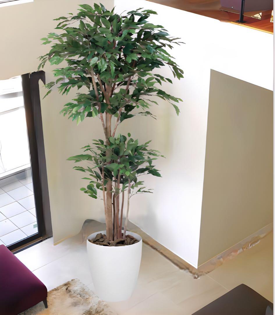 光触媒　人工観葉植物　フェイクグリーン　トロピカルベンジャミン 1.8m
