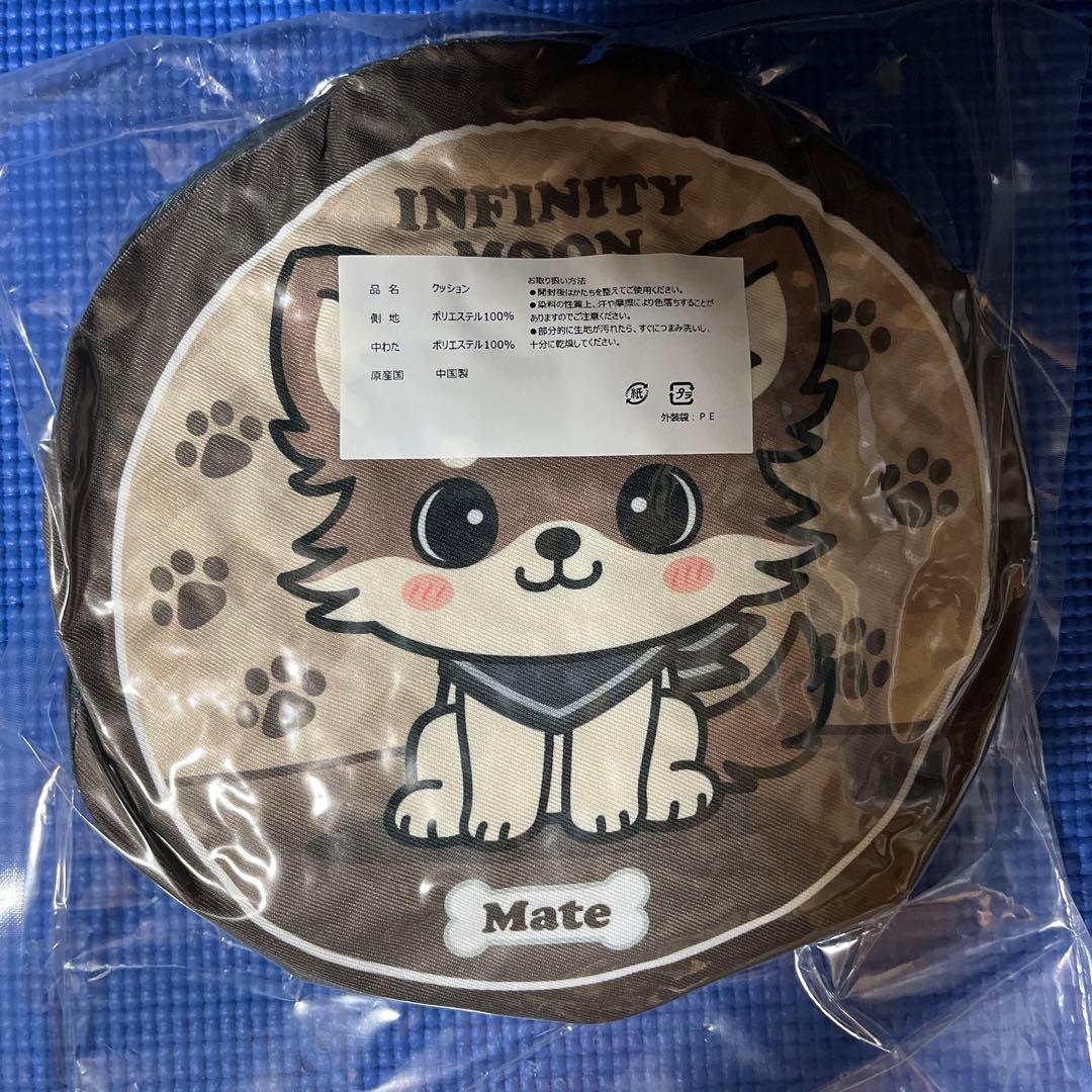 INFINITYMOON 登坂広臣 会場 ガチャ レア クッション ØMI - メルカリ