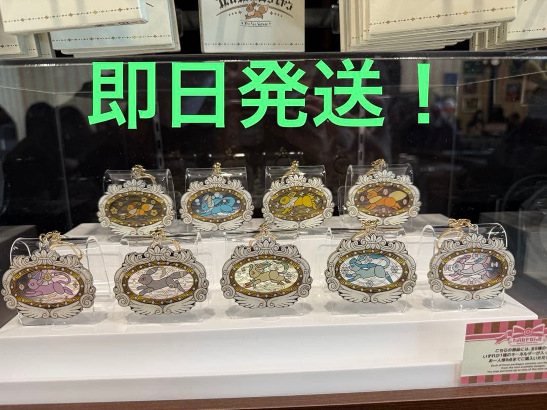 ポケパークカントー限定 イーブイズ アクリルキーホルダーフルコンプセット
