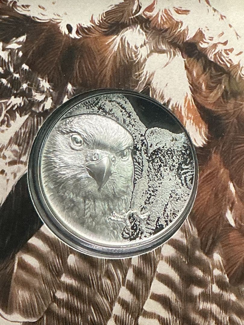 2023年　ワイルド・モンゴリア《サカーファルコン（ハヤブサ）》1oz 純銀貨