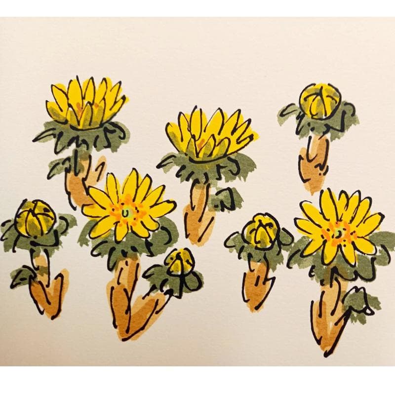 ☆坂本直行☆「ふくじゅ草」シルクスクリーン四ツ 未使用！ - メルカリ