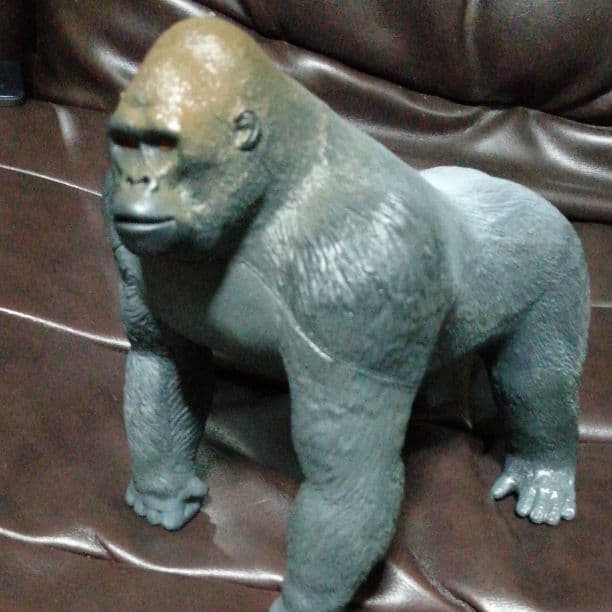 マウンテンゴリラシルバーバック