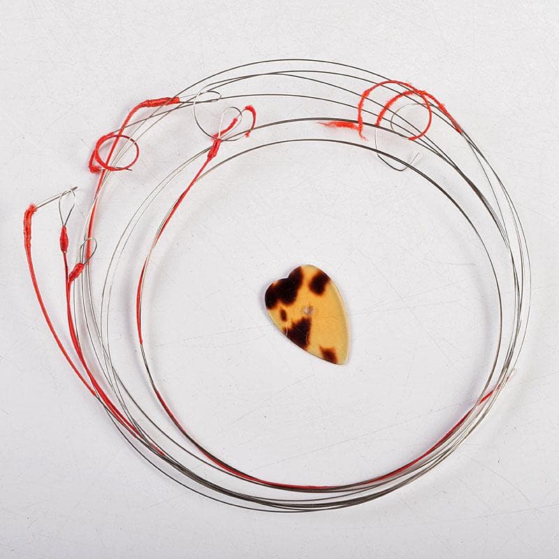 Rokutaro Nakade 中出六太郎 マンドリン A70 M R9222B - メルカリ