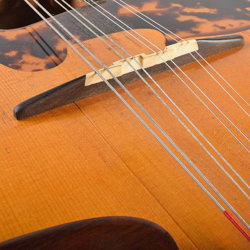 Rokutaro Nakade 中出六太郎 マンドリン A70 M R9222B - メルカリ