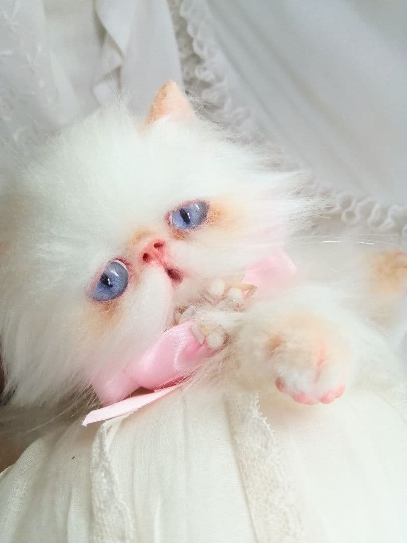 ６ヶ月♡子猫ちゃん♡エキゾチックロングヘア♡アートドール♡ぬいぐるみ♡綺麗な子♡
