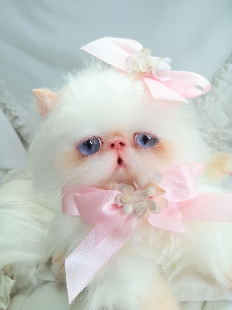 ６ヶ月♡子猫ちゃん♡エキゾチックロングヘア♡アートドール♡ぬいぐるみ♡綺麗な子♡