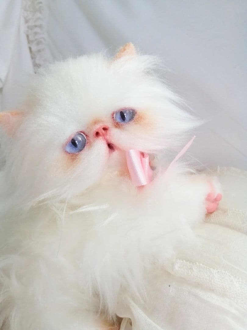 ６ヶ月♡子猫ちゃん♡エキゾチックロングヘア♡アートドール♡ぬいぐるみ♡綺麗な子♡