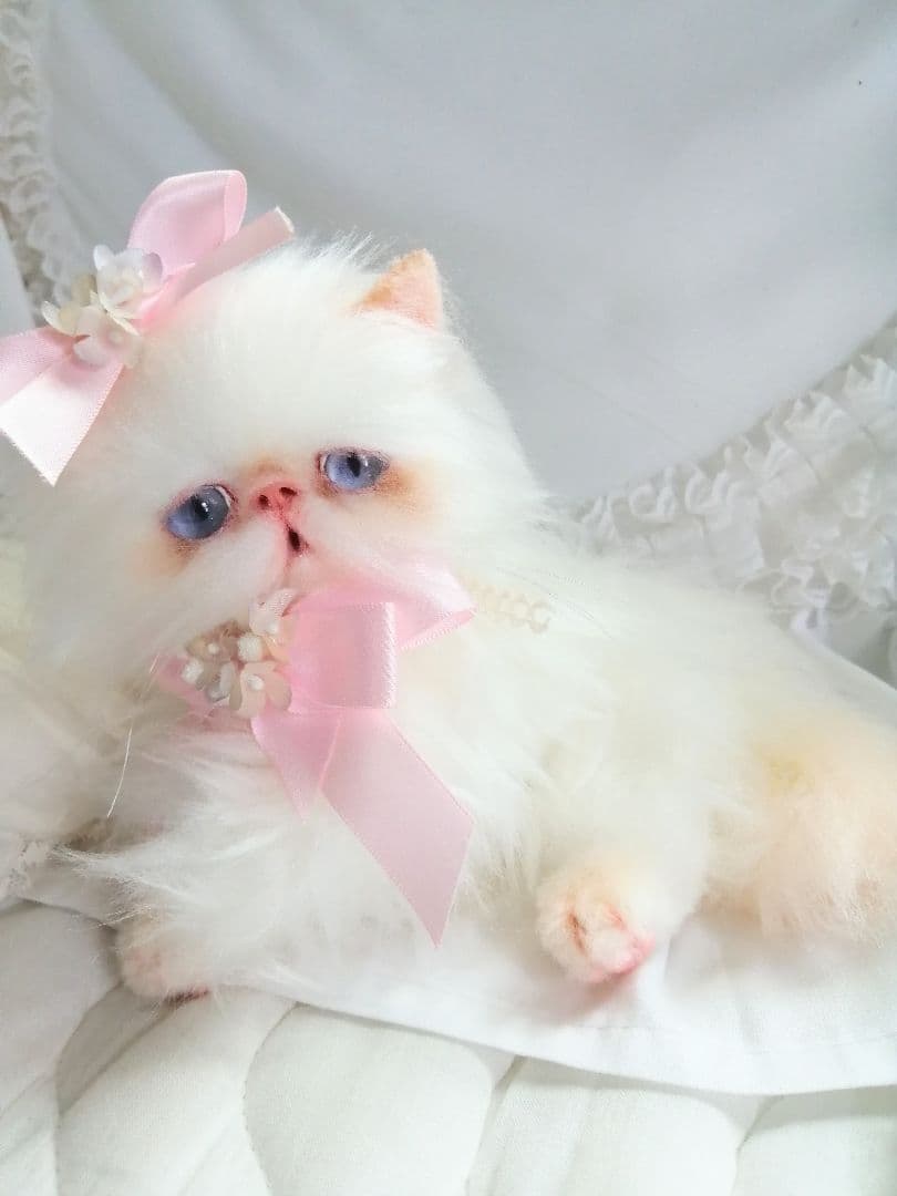 ６ヶ月♡子猫ちゃん♡エキゾチックロングヘア♡アートドール♡ぬいぐるみ♡綺麗な子♡
