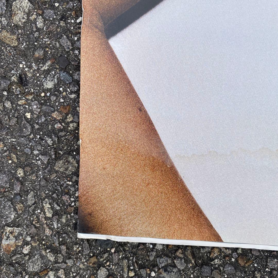 Supreme Lady Gaga Poster シュプリーム ガガ ポスター