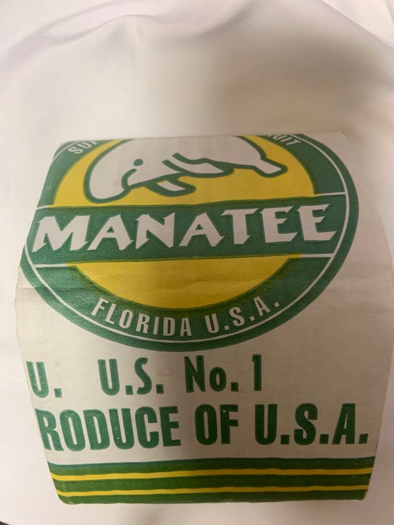 島津冬樹　段ボール財布　段ボール　Carton 作品　新品　アート