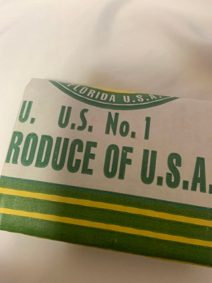 島津冬樹　段ボール財布　段ボール　Carton 作品　新品　アート