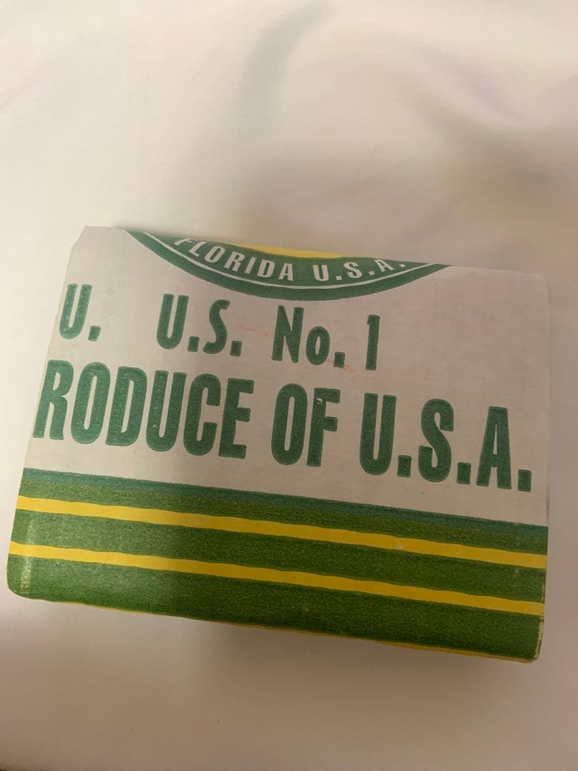 島津冬樹　段ボール財布　段ボール　Carton 作品　新品　アート