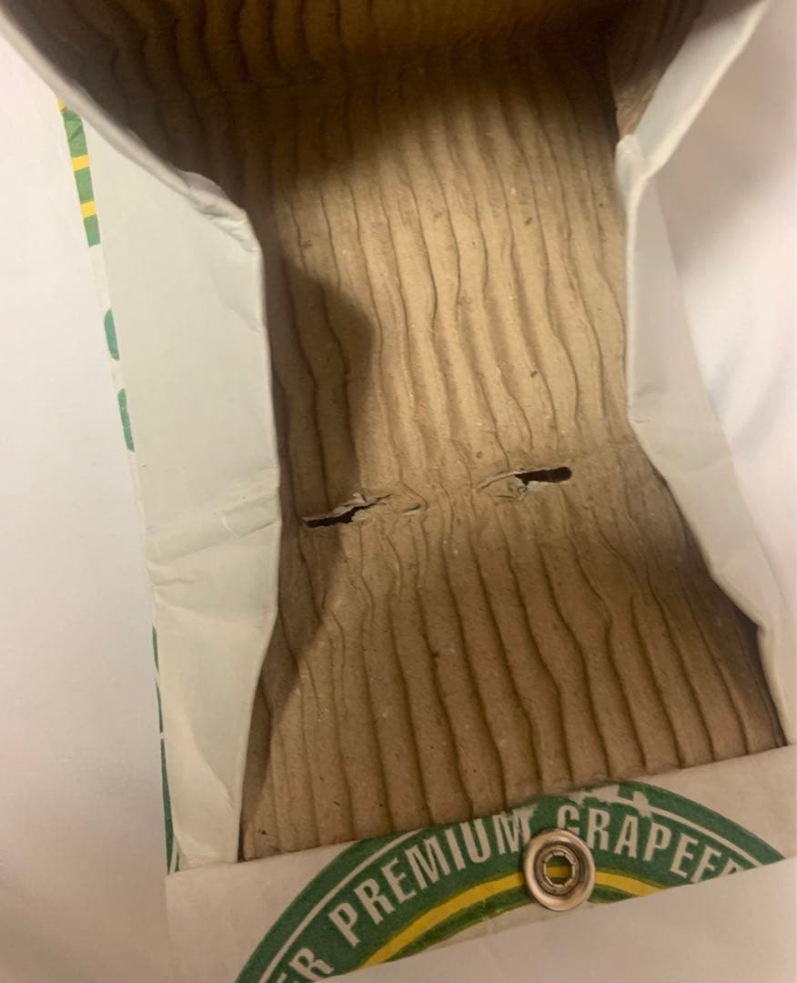 島津冬樹　段ボール財布　段ボール　Carton 作品　新品　アート