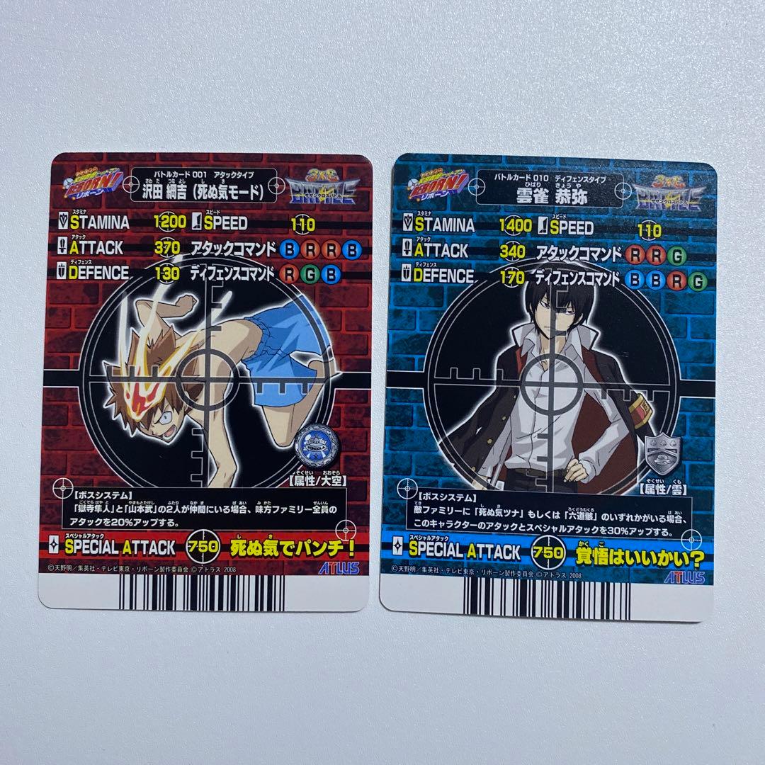 家庭教師ヒットマンREBORN! サザンクロスバトル ボンゴレア2枚含む48枚