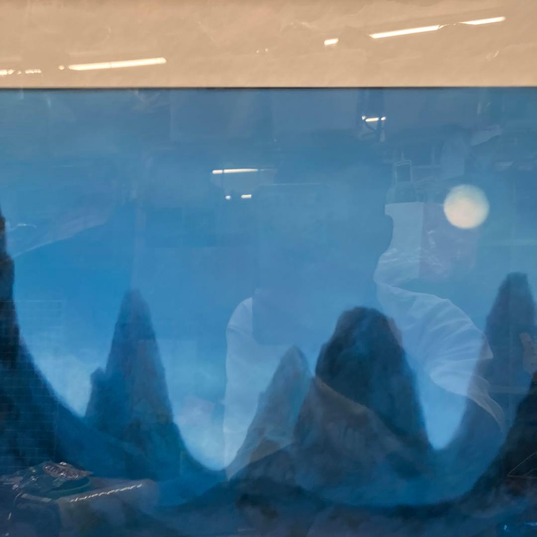 昭和レトロ 東山 魁い 雪月花月 復刻画 リトグラフ画 絵画 インテリア アート