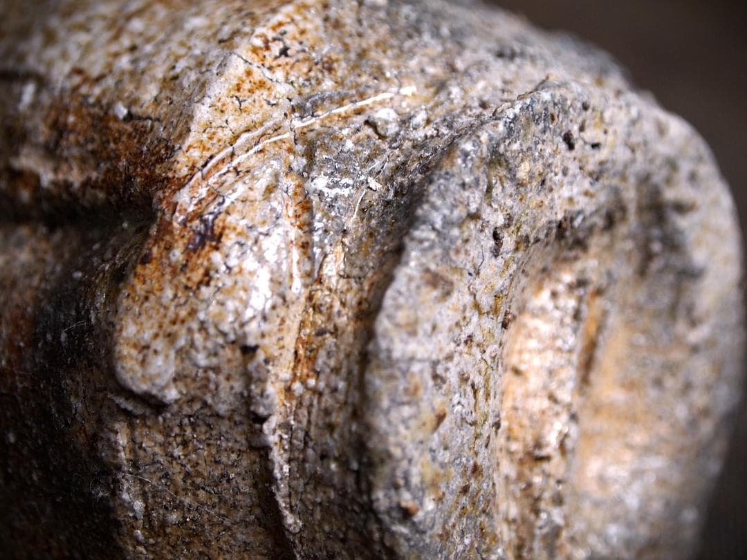 人気作家★谷本貴【師：師：森正・谷本景】伊賀(窯変）湯のみA★共箱 匿