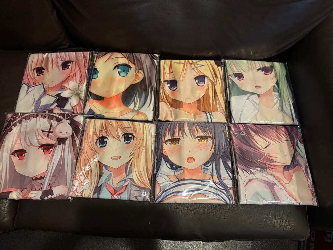 アニメキャラクター？の抱き枕カバー 17枚セット エッチなヤツもあり？