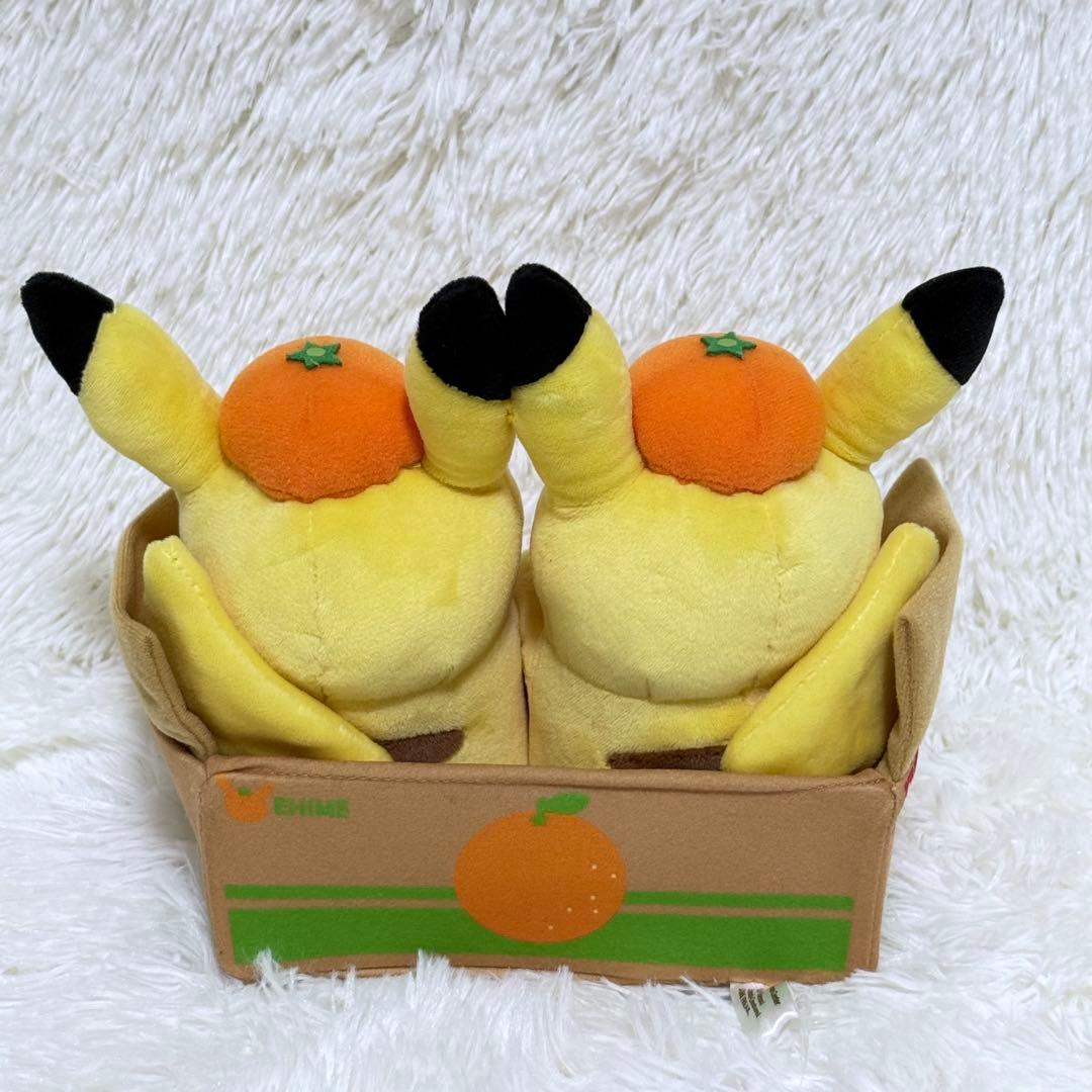 ✨️タグ付美品】ポケモンストア 愛媛 ペアピカチュウ えひめみかん