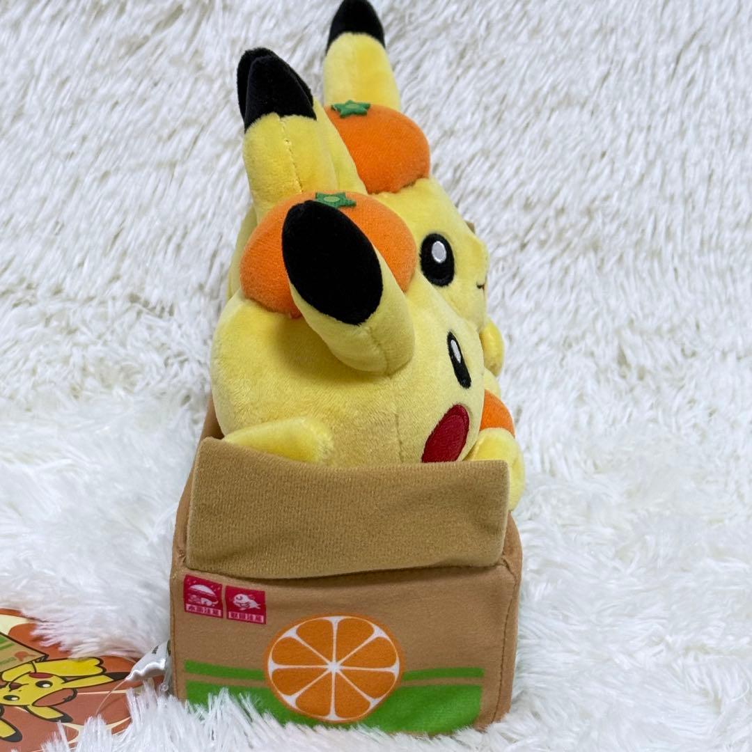 ✨️タグ付美品】ポケモンストア 愛媛 ペアピカチュウ えひめみかん