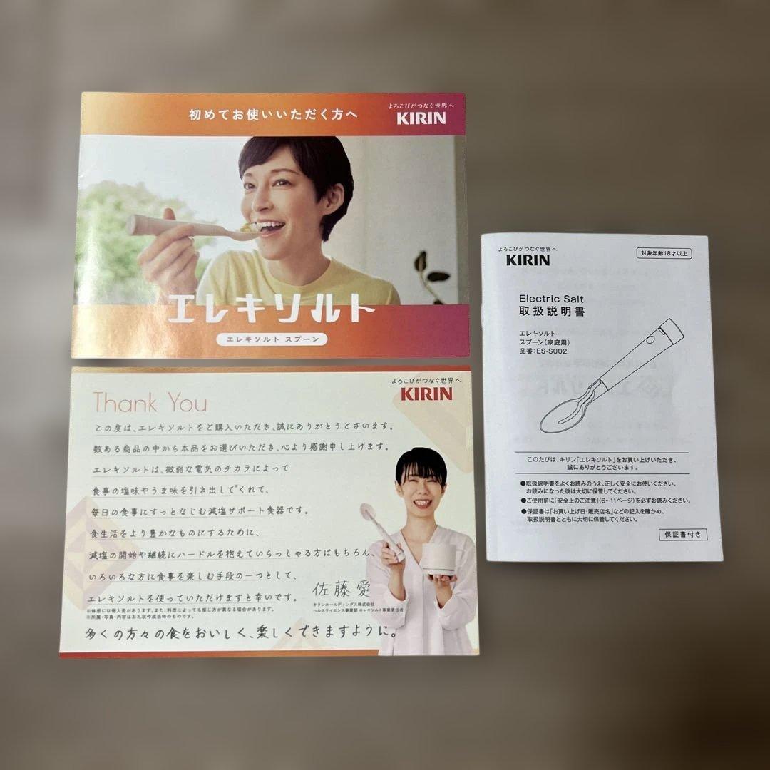 ★最終価格★エレキソルト スプーン ES-S002