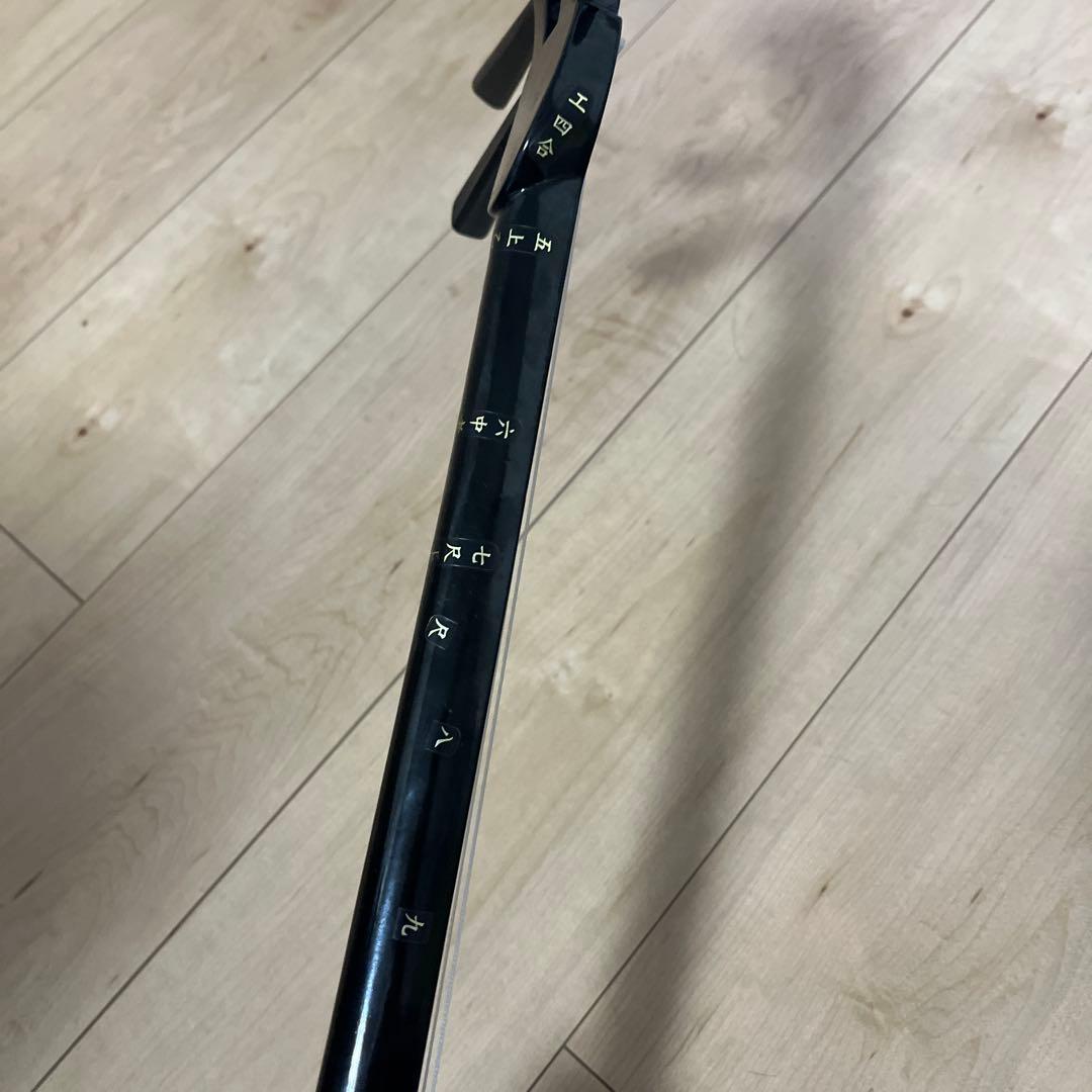 かんから三線 三線 沖縄 楽器 おまけ付き