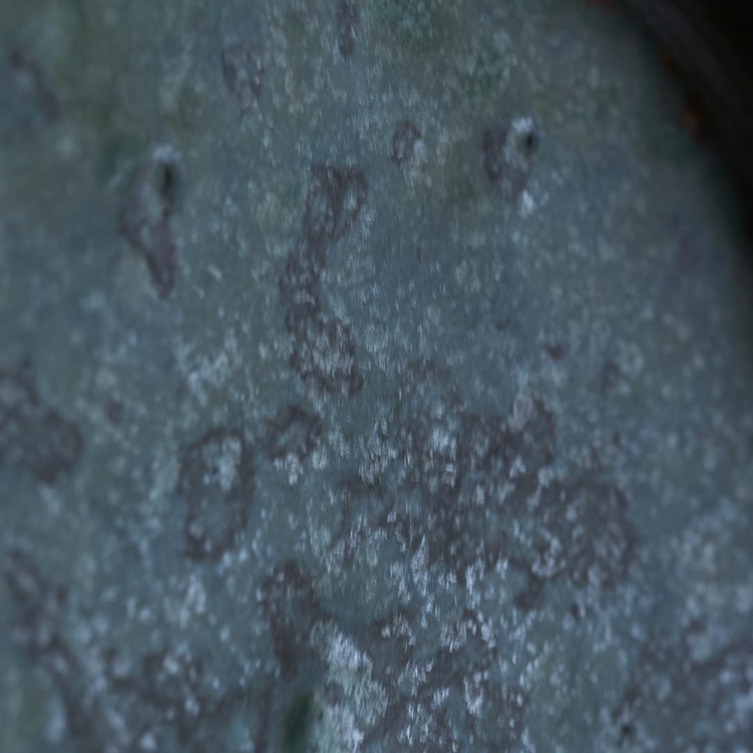 Arne Bang 1932年 デンマークの象徴的な16cmの皿