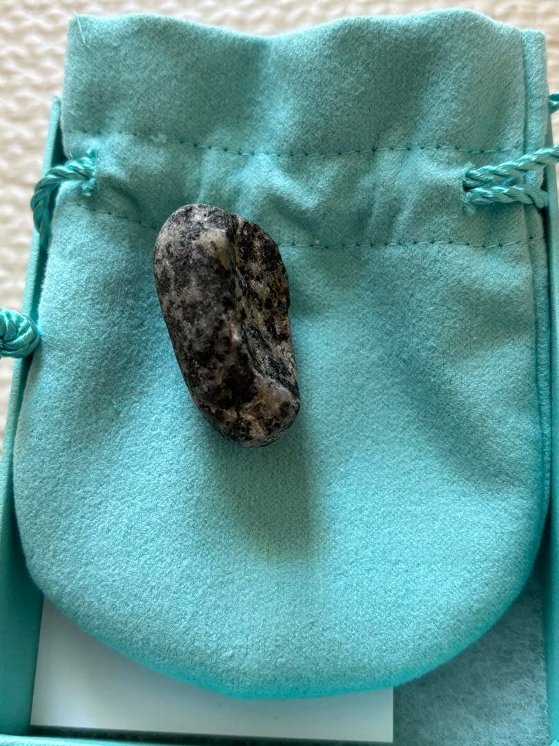 息子が見つけた恐竜の卵化石（花崗岩）