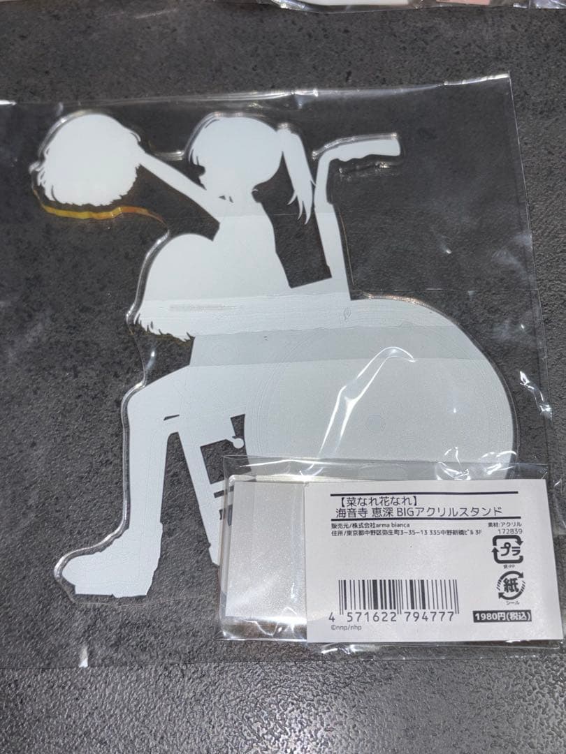 菜なれ花なれ bigアクリルスタンド 全種セット 涼葉 詩音 恵深 かなた