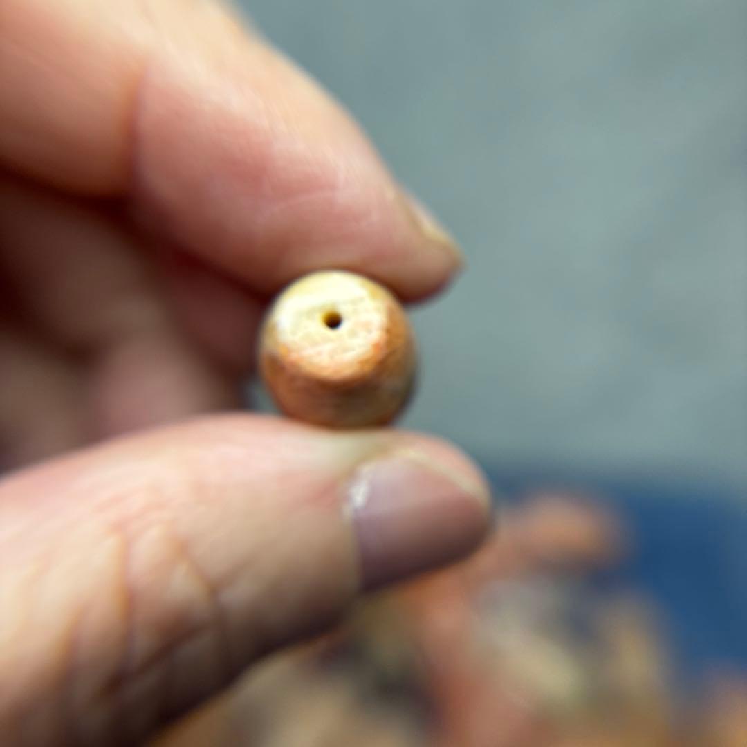 あずきちゃんフォッシルコーラル　天珠　1-293