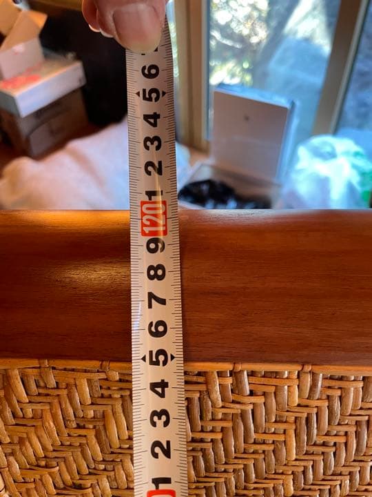 【取りに来れる方限定】アジアンイス