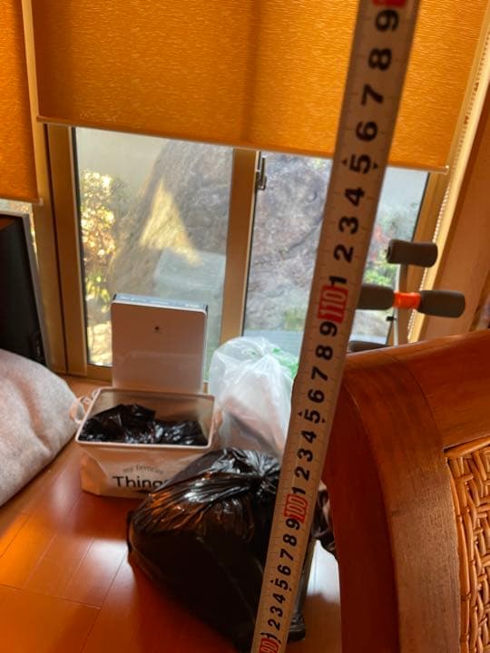 【取りに来れる方限定】アジアンイス