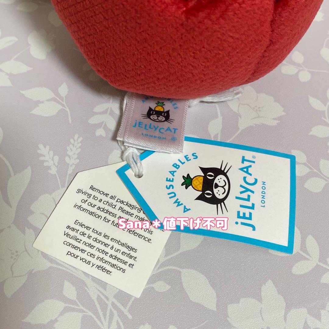 廃盤 新品 ジェリーキャット サボテン さぼてん 覇王樹 植物