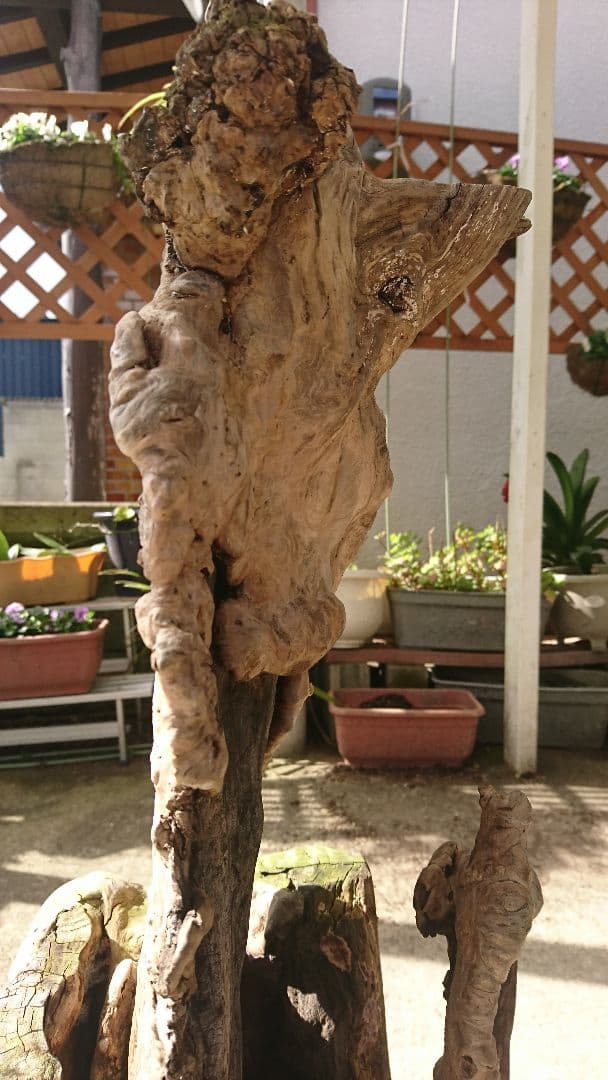 猿の腰掛けが覆われている、木の置物
