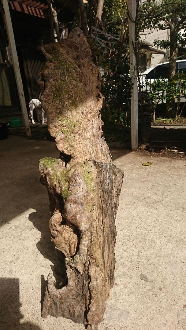 猿の腰掛けが覆われている、木の置物