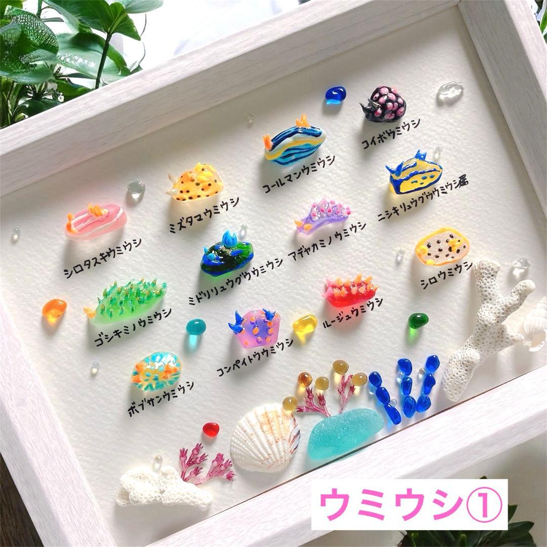 Komo様 ご確認用 ウミウシ❣️シーグラスアート - メルカリ