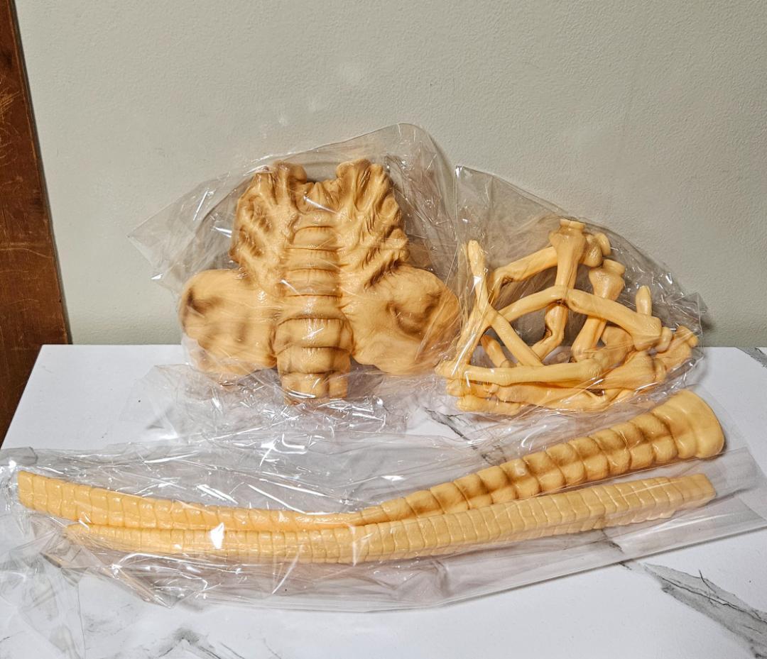 1/1スケール フェイス ハガー エイリアン(アオシマ SKYNET)