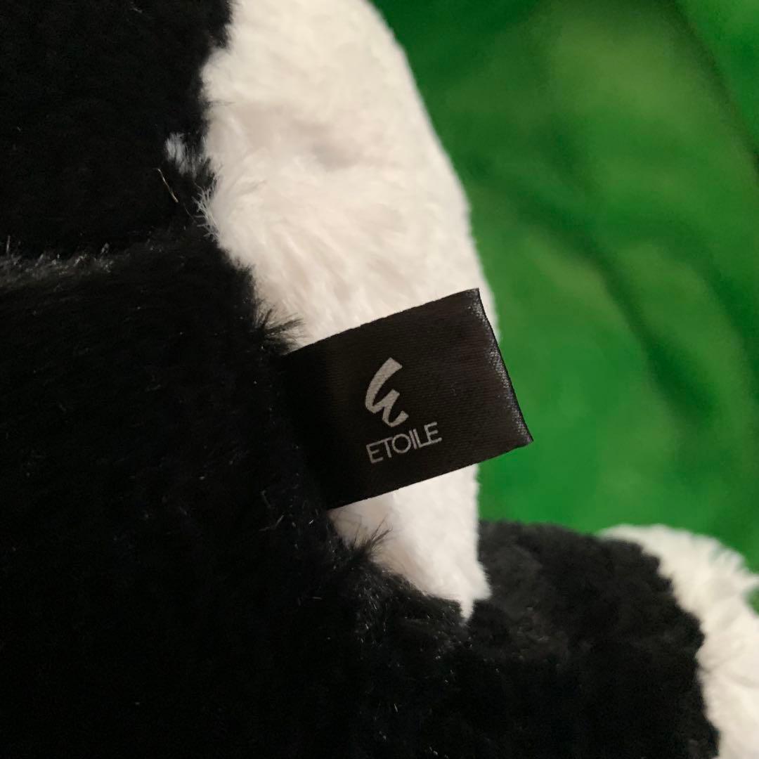 サンレモン　ひざねこ　お座り　ハチワレ