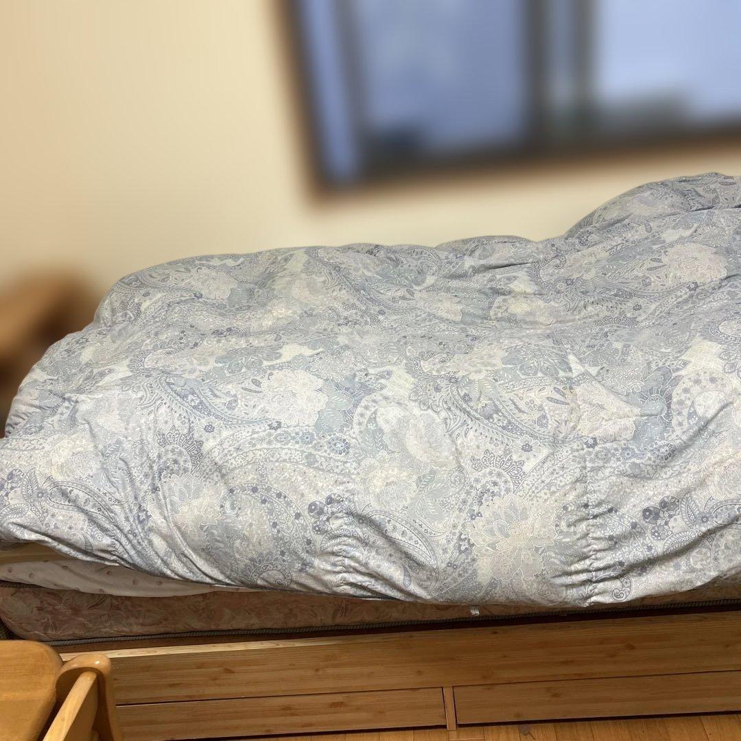 14..洗える！2021年購入 ホワイトダックダウン　Ｄ93％ 国産　あったかい