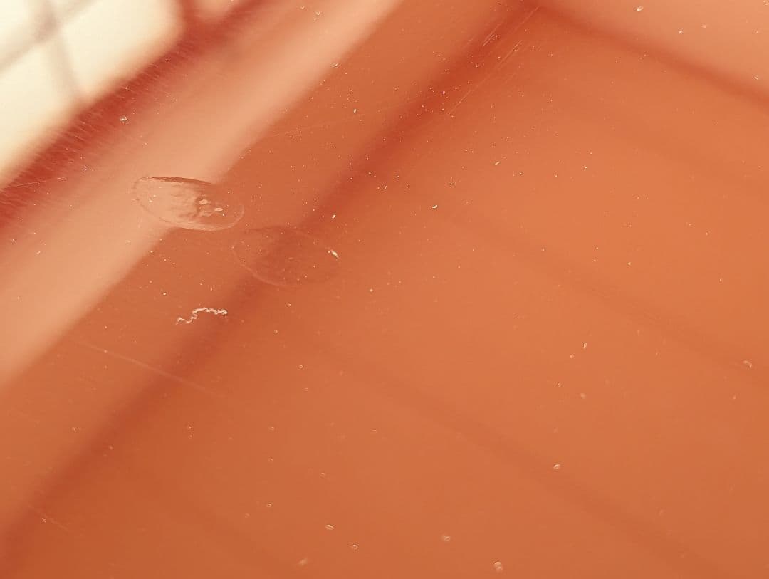 ★ フランスミラー製 姿見 鏡台 ドレッサー ★