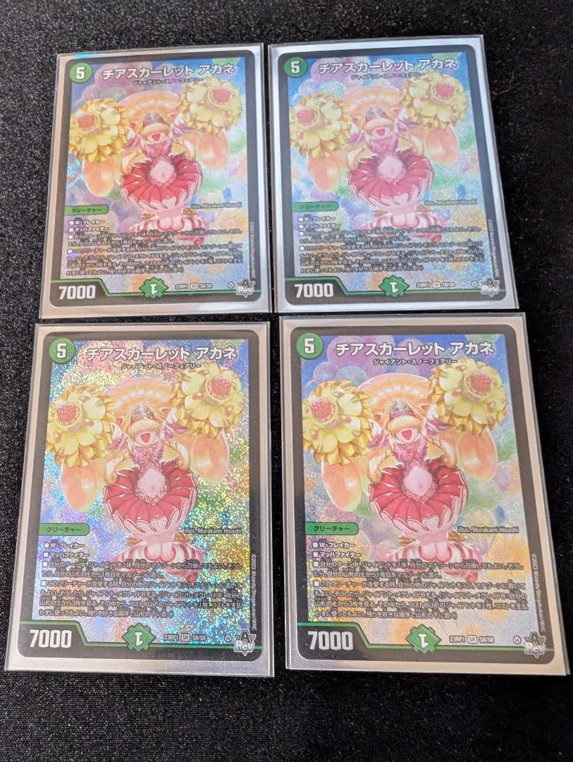 チアスカーレット　アカネ