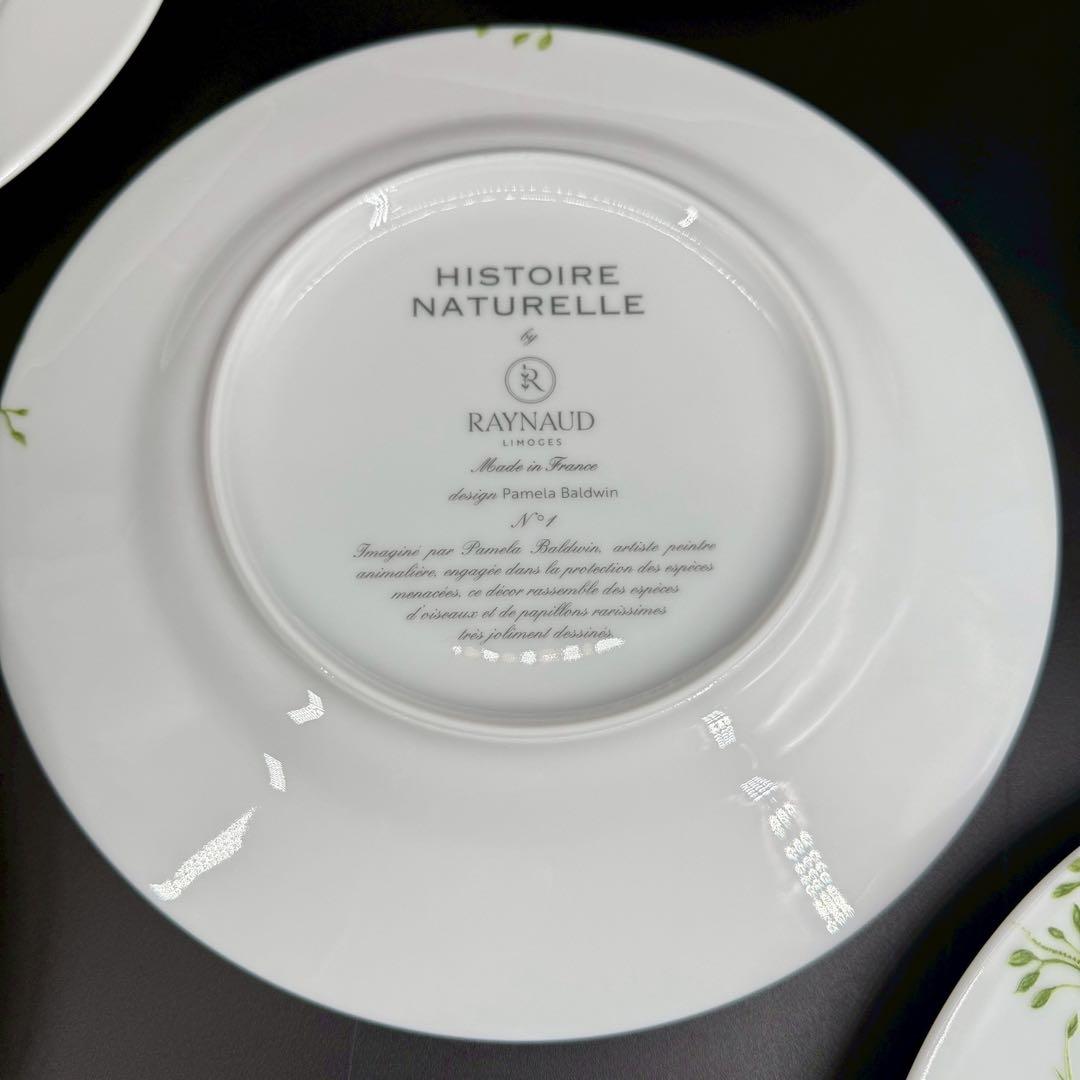 RAYNAUD ヒストリーナチュール　ブラウンバード22cm 6枚セット　箱付