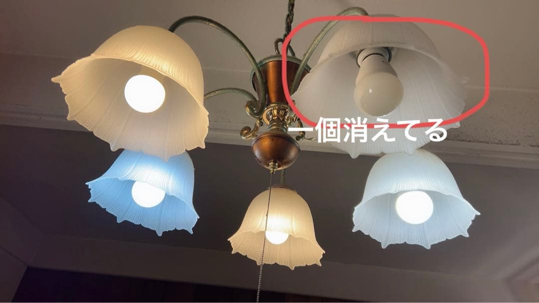 シャンデリア 5灯 フラワーシェイプ