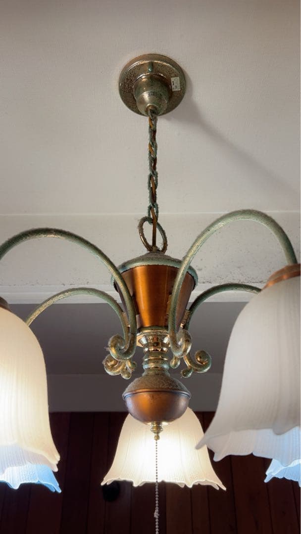 シャンデリア 5灯 フラワーシェイプ