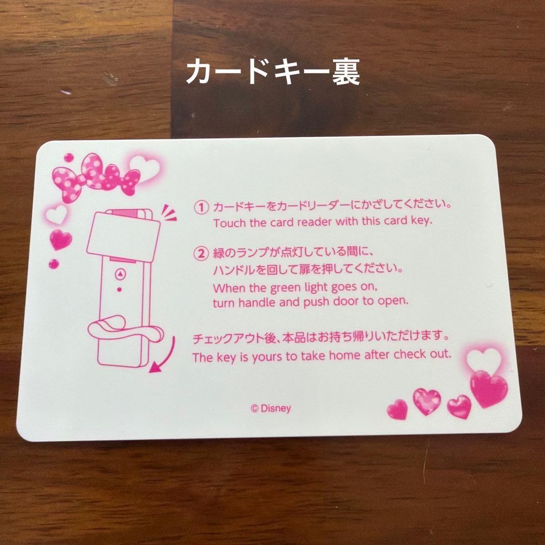 ミニーのファンダーランド ディズニーランドホテル カードキー カード