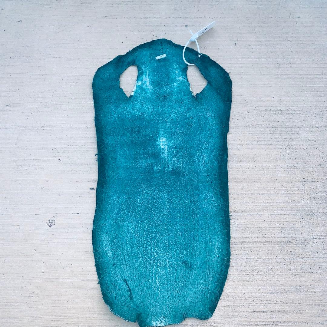 21)エイ革 鮫革 鮫皮 stingray ガルーシャ スティングレイ